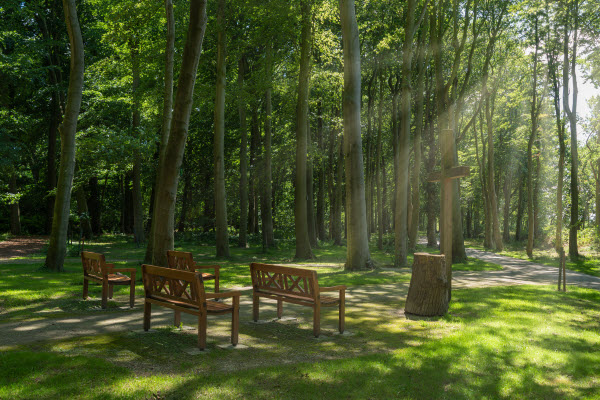 Eco-choices for environmentally friendly funerals